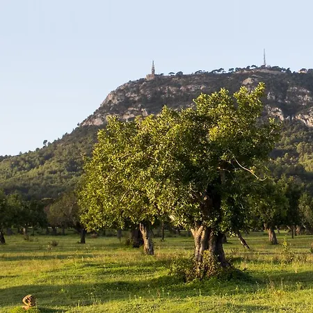 Petit Hostatgeria Sant Salvador Феланич